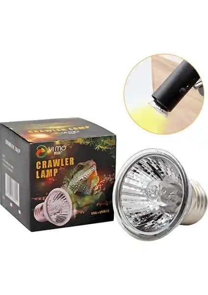 Sürüngen Lambası Seçimi ve Bakımı: Sağlıklı Yaşam İçin Gerekli İpuçları