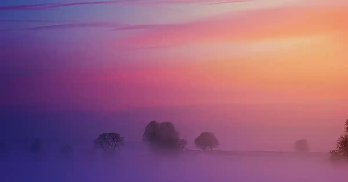 TCL 40 Akıllı Saat: Sağlık ve Teknolojiyi Bir Arada Sunan Modern Tasarım