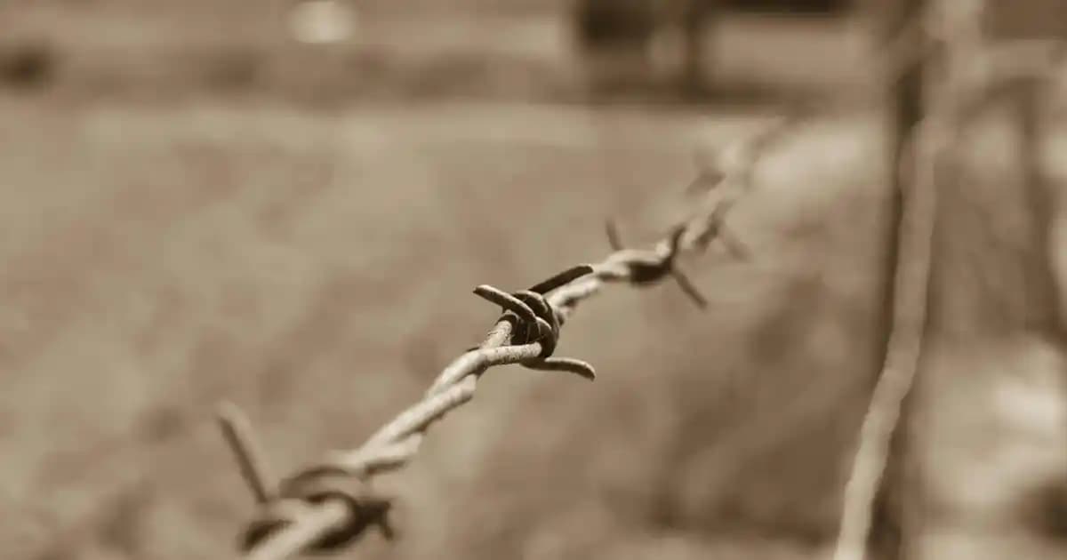 Xiaomi 9T Akıllı Telefonunun Özellikleri ve En İyi Aksesuar Seçenekleri