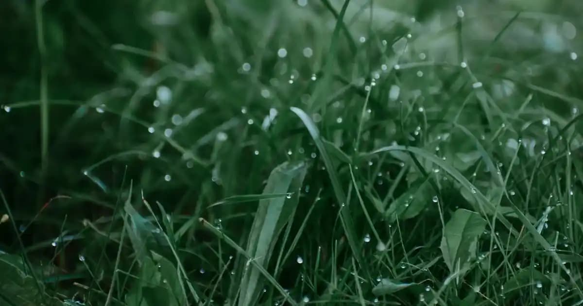 Yenilenmiş Apple Watch Modelleri ve Satın Alma İpuçları Hakkında Kapsamlı Rehber